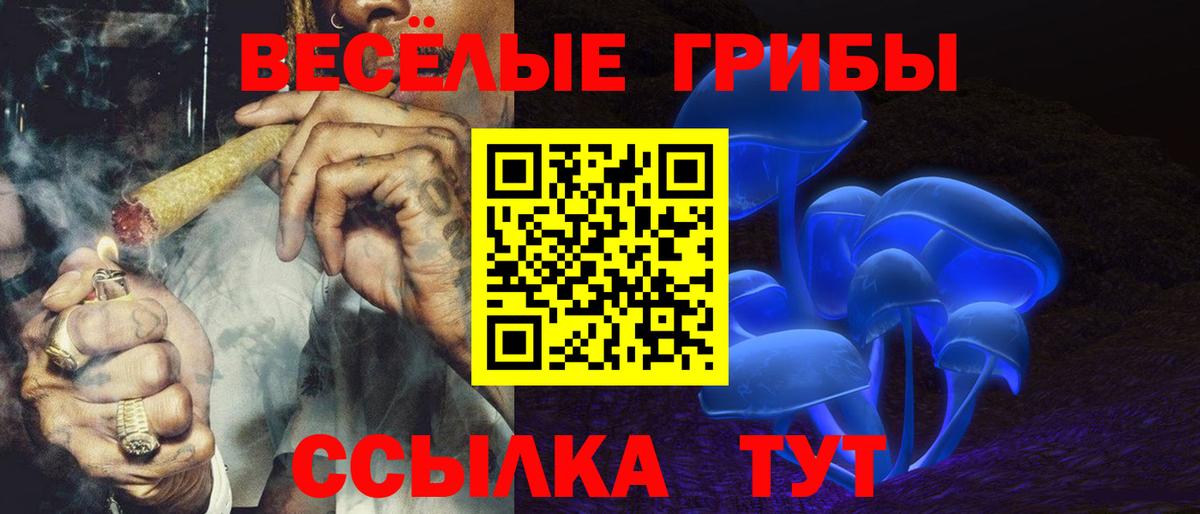 Красноуфимск  Псилоцибиновые грибы Psilocybe  Вход с VPN 