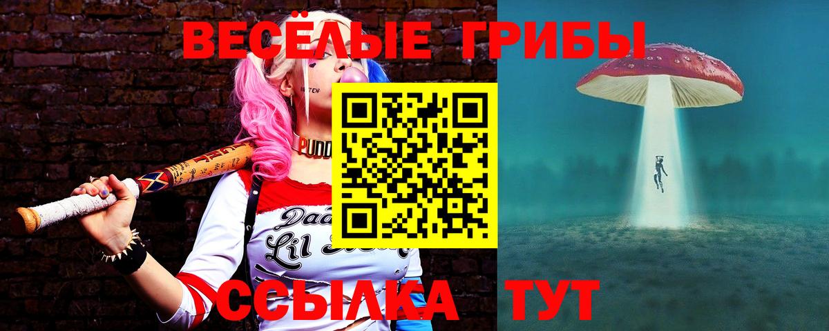 Псилоцибиновые грибы мицелий Красноуфимск